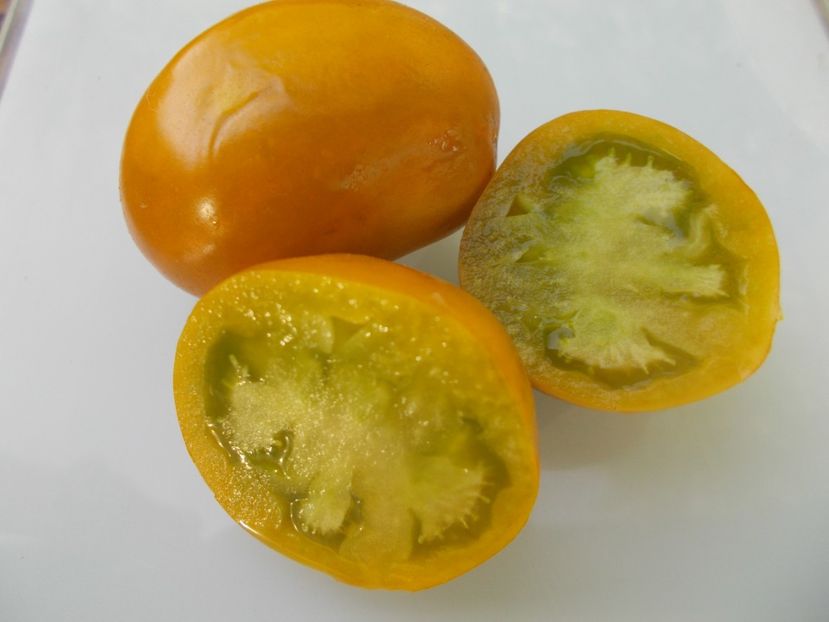  - SEMINTE ROSII - T 961 GREEN BOMB S