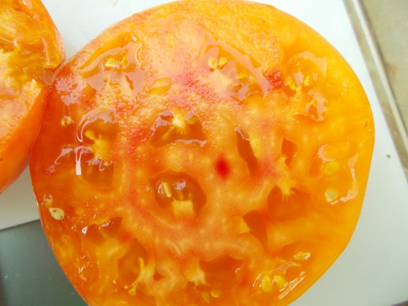  - SEMINTE ROSII - T 977 AWESOME - det