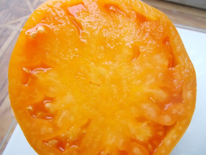  - SEMINTE ROSII - T 887 GELBER OCHSENHERZ