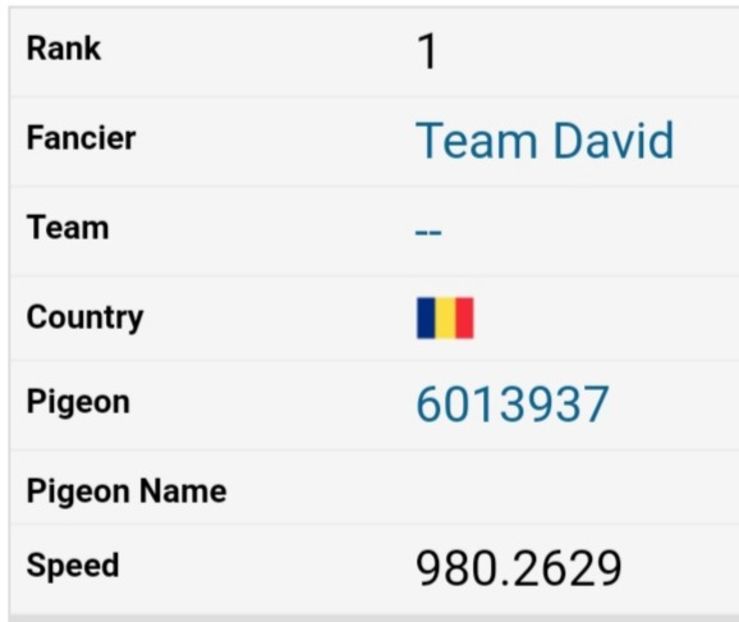 Manauti 2022- Loc 1-AS 4 etape - Porumbei columbodroame