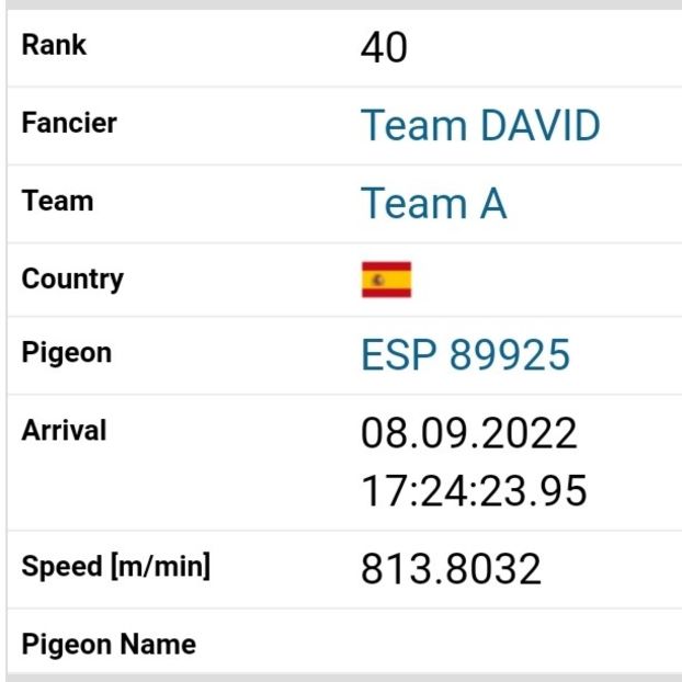 Vicov - Finala 500 km (200 euro) - Porumbei columbodroame