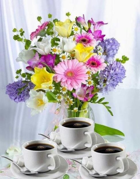 86970034_2564307840481436_8777623713647427584_n-1 - imagini