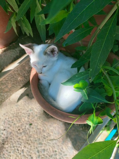 IMG20220914123614 - Septembrie 2022