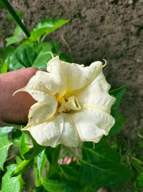 IMG20220914120153 - Septembrie 2022