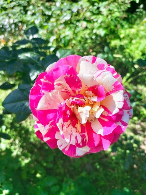 IMG20220914113911 - Septembrie 2022