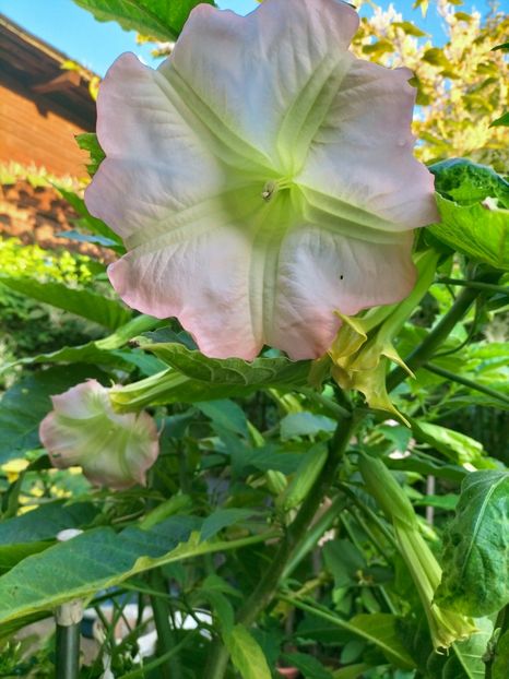 IMG20220914074202 - Septembrie 2022