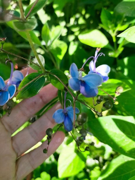 IMG20220912082526 - Septembrie 2022