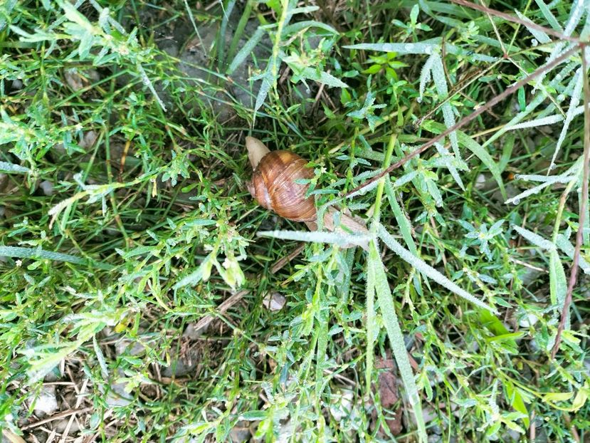 IMG20220911090706 - Septembrie 2022