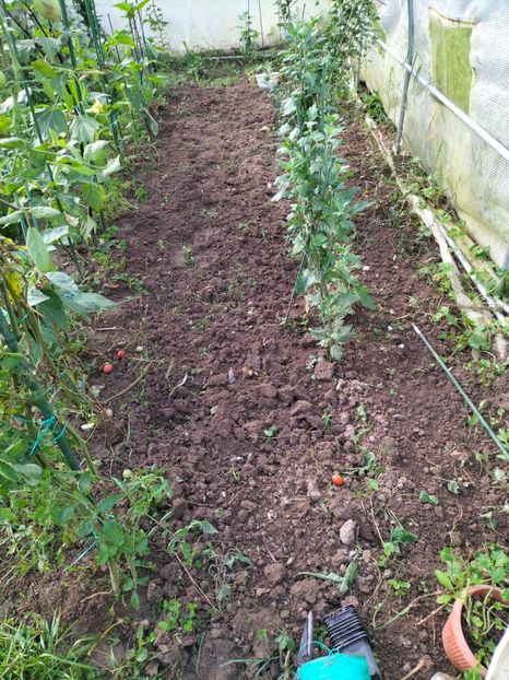 IMG20220911085911 - Septembrie 2022