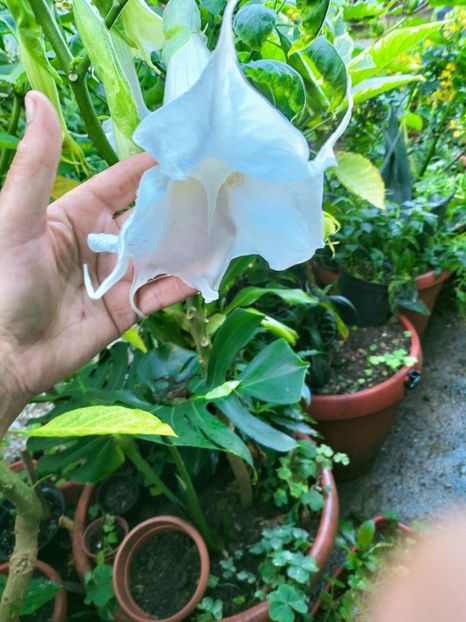 IMG20220910183935 - Septembrie 2022