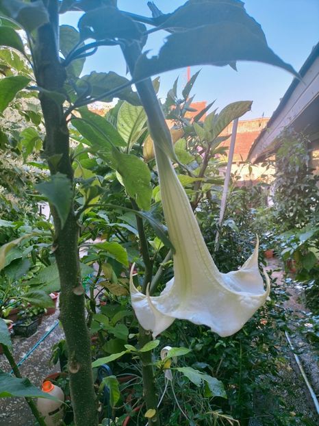 IMG20220910183916 - Septembrie 2022