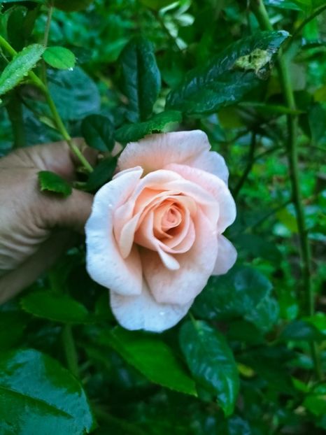 IMG20220910070304 - Septembrie 2022