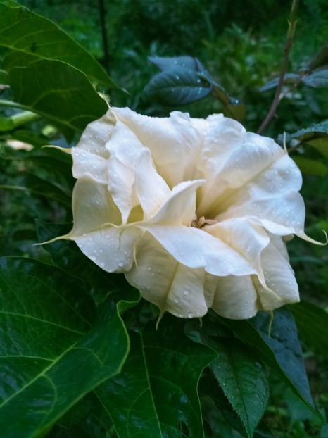 IMG20220910065855 - Septembrie 2022