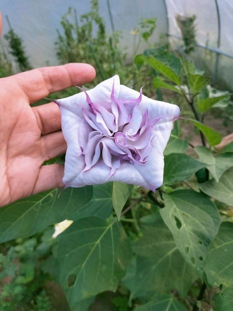 IMG20220908173509 - Septembrie 2022