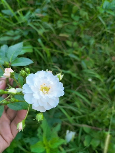 IMG20220908173327 - Septembrie 2022