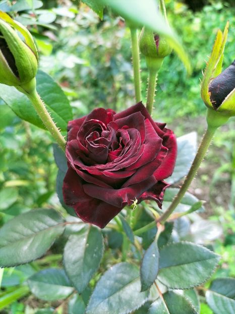 IMG20220908173023 - Septembrie 2022