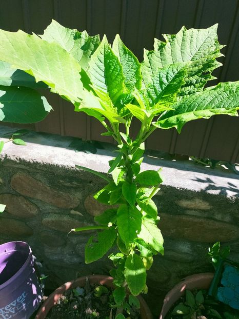 IMG20220914123539 - ANUL 2022