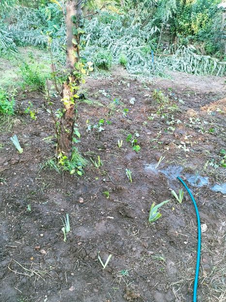 IMG20220907182414 - ANUL 2022