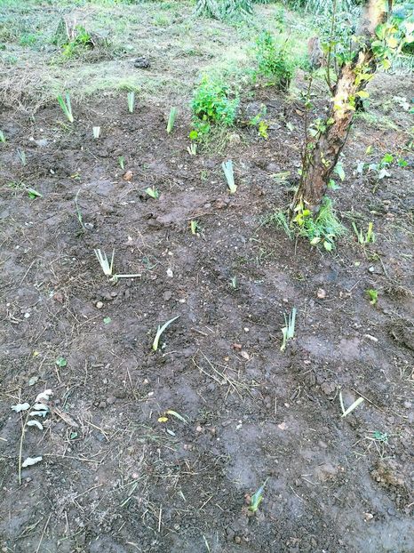 IMG20220907182412 - ANUL 2022