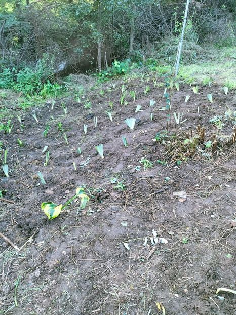 IMG20220907182401 - ANUL 2022