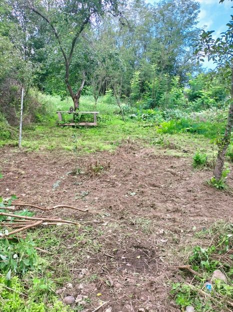 IMG20220906162251 - ANUL 2022