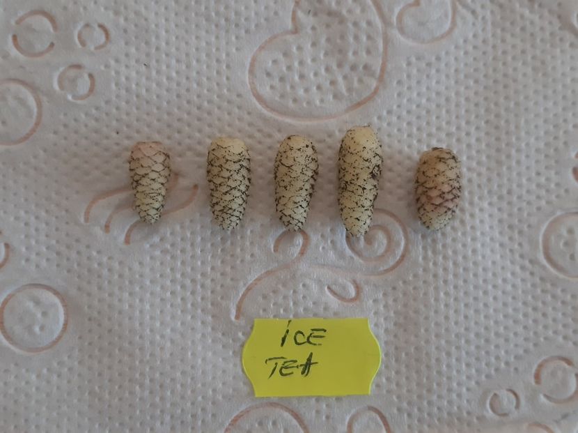  - 0 doresc sa schimb