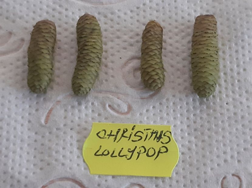  - 0 doresc sa schimb