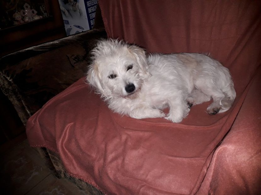  - Bella