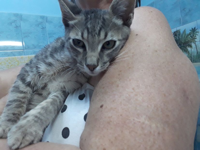 3 iulie, ziua cand ne-am intalnit - Thomas