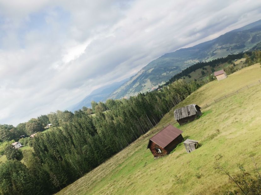  - Țara Dornelor-Muntii Călimani