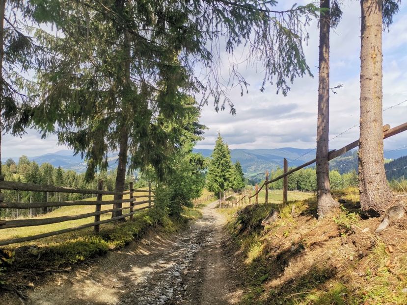  - Țara Dornelor-Muntii Călimani