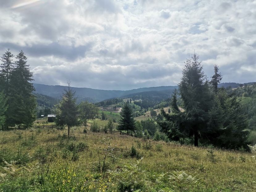  - Țara Dornelor-Muntii Călimani