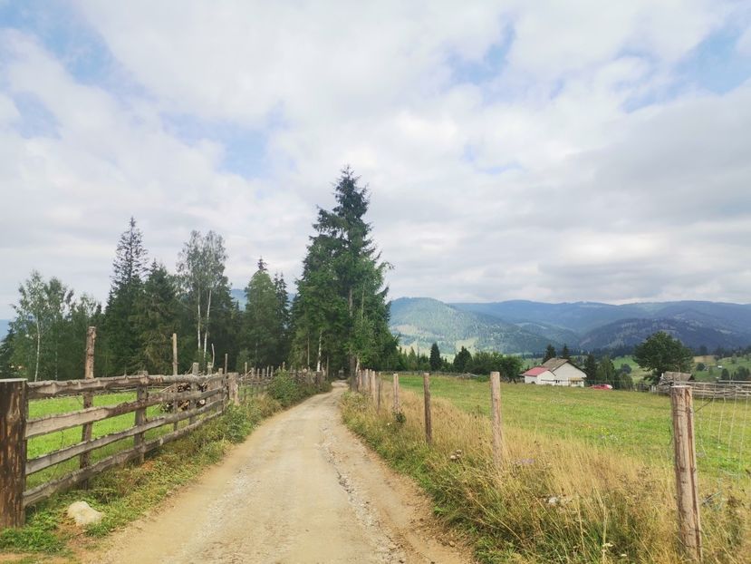  - Țara Dornelor-Muntii Călimani