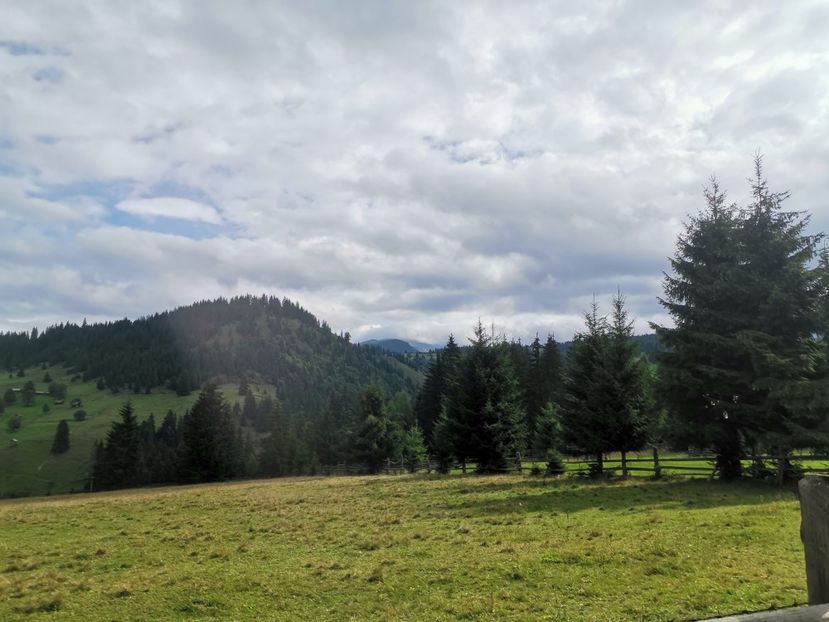  - Țara Dornelor-Muntii Călimani