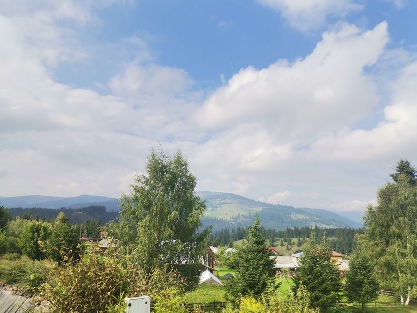  - Țara Dornelor-Muntii Călimani