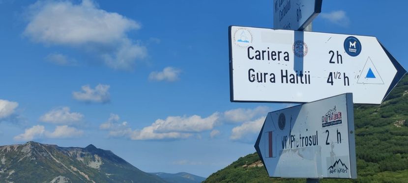 IMG-20220831-WA0043 - Țara Dornelor-Muntii Călimani