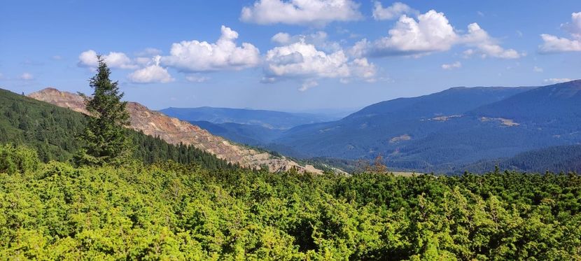 IMG-20220831-WA0042 - Țara Dornelor-Muntii Călimani