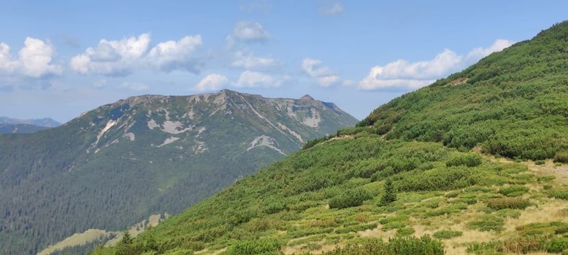 IMG-20220831-WA0040 - Țara Dornelor-Muntii Călimani