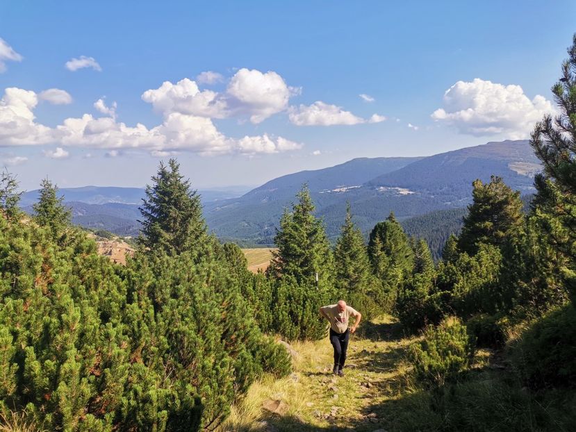  - Țara Dornelor-Muntii Călimani