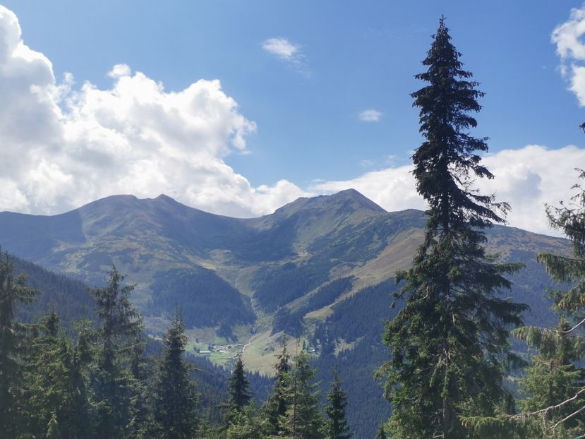  - Munții Rodnei