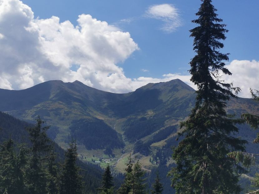  - Munții Rodnei