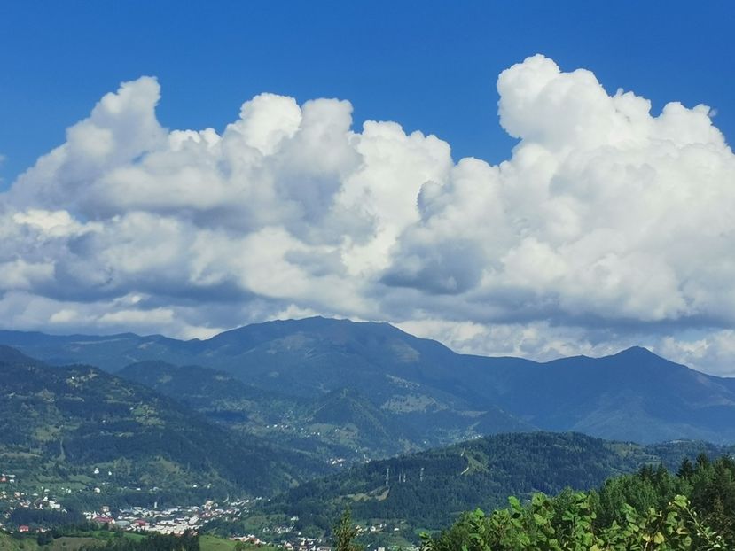  - Munții Rodnei