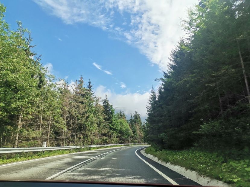  - Munții Rodnei