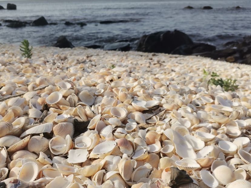  - Sulina-Delta Dunării