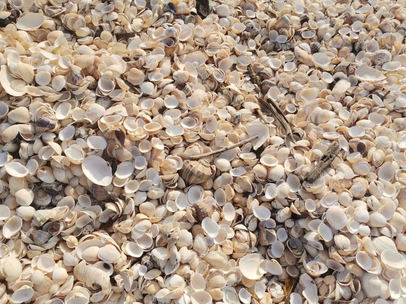  - Sulina-Delta Dunării