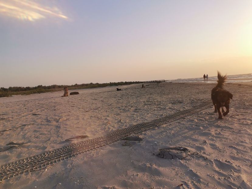  - Sulina-Delta Dunării