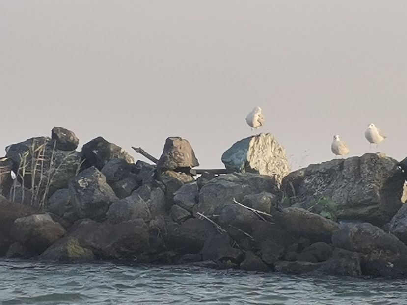  - Sulina-Delta Dunării