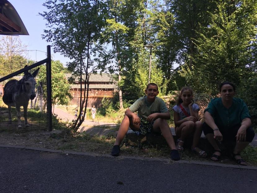 IMG-20210817-WA0011 - Brasov 2021