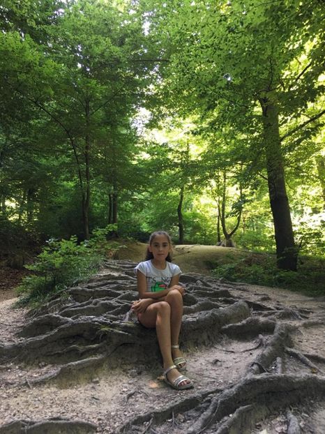 IMG-20210817-WA0005 - Brasov 2021