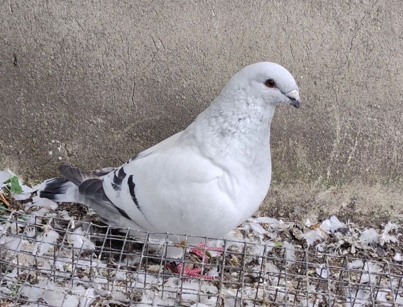 PL/22-A2360 Archiwum - i- MLODE -2022- Youth